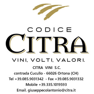 Fondata nel 1973 è la più importante realtà produttiva vitivinicola d'Abruzzo